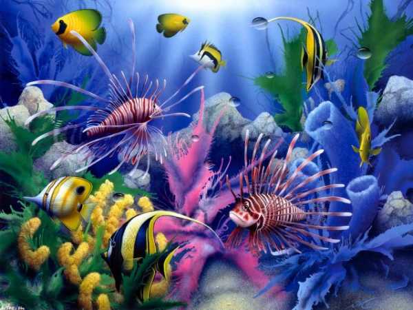 Подводный мир картинки нарисованные