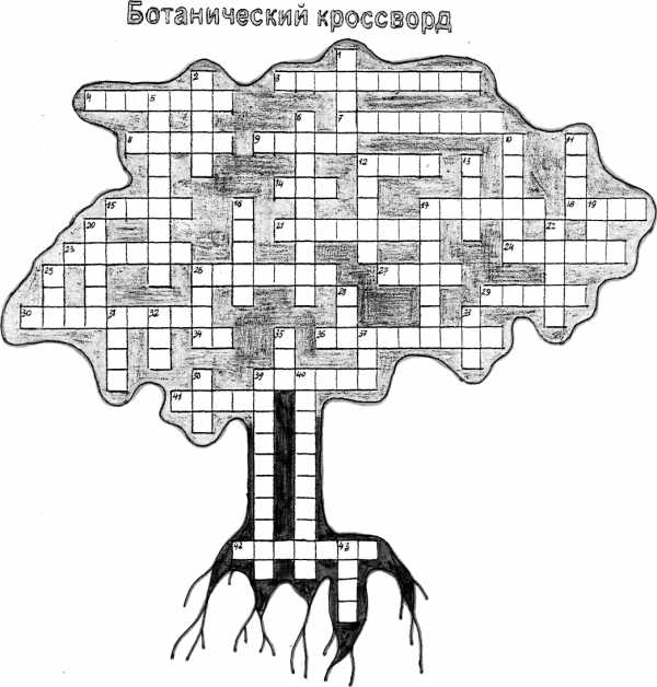 Кроссворд по биологии 6 класс с ответами и вопросами на тему растения