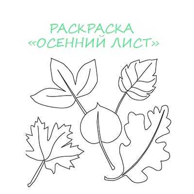 Раскраска для детей осенние листья